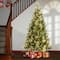 6ft. Pre-Lit Charleston Pine Artificial Christmas Tree, Clear Lights